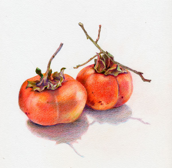 Two Persimmons by Kaye Synoground