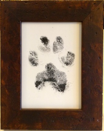 ink-paw-print