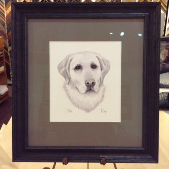 Drawing of yellow Labrador