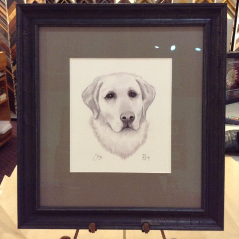 Drawing of yellow Labrador