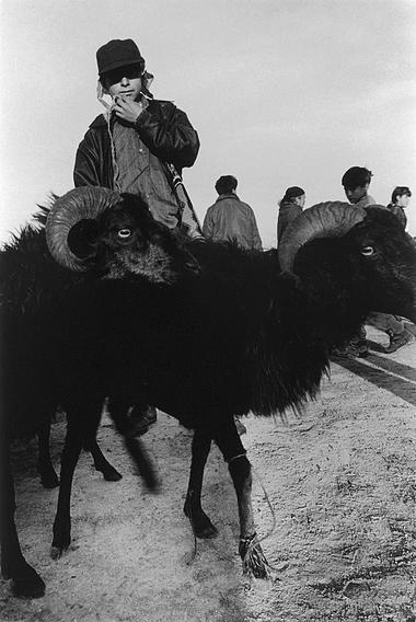 Black and white photo of Asian boy with goats