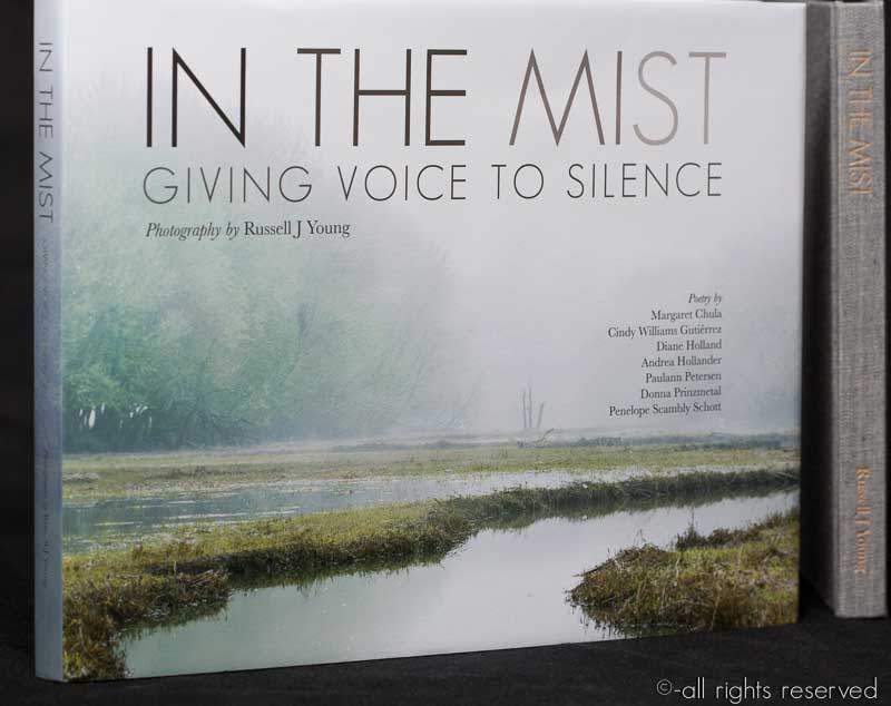 Cover of In the Mist: Giving Voice to Silence