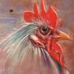 Pastel of the head of a fierce looking rooster.