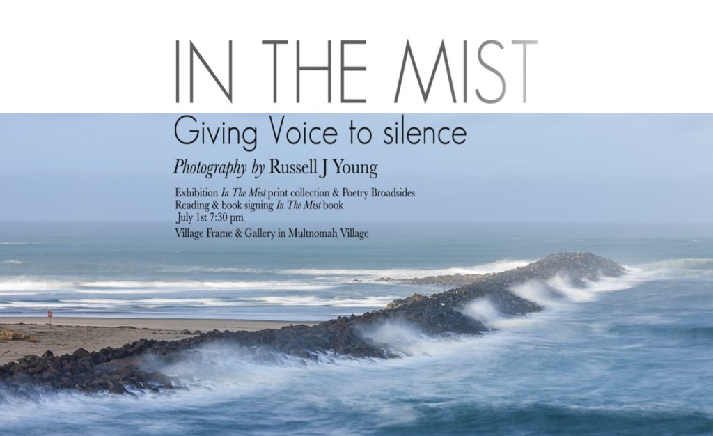 Cover of In the Mist