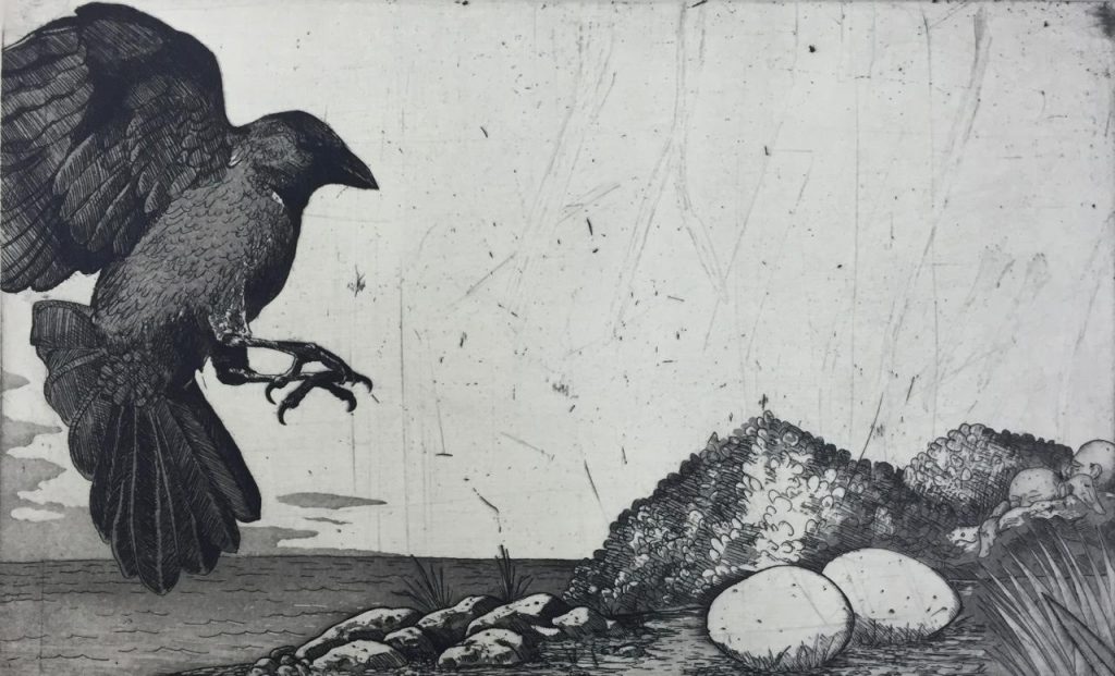 Etching of crow landing in front of eggs