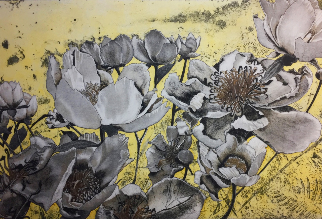 Large bunch of black and white peonies against a yellow background