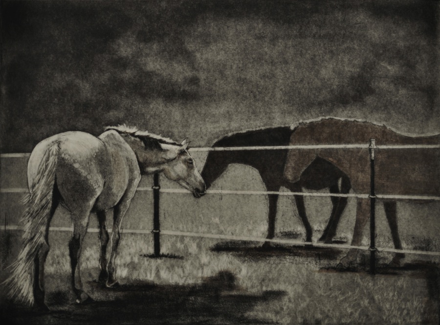 Black and white image, there is a white horse on the near side of a barbed wire fence, there are two darker horses on the other side of the fence. The horses are nuzzling each other in greeting.